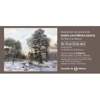 530-exposicion-pintura-maria-castineira-garcia.jpg