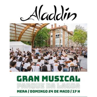 556-gran-musical-aladdin.jpg